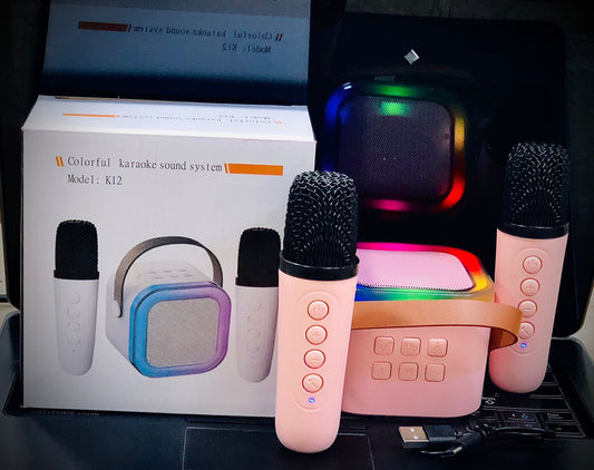 K-12 Speaker with Double Mic